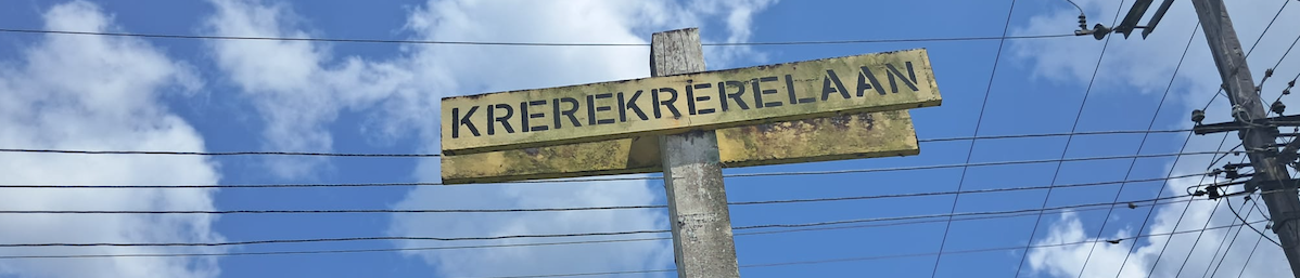 Schrijven en Vertellen