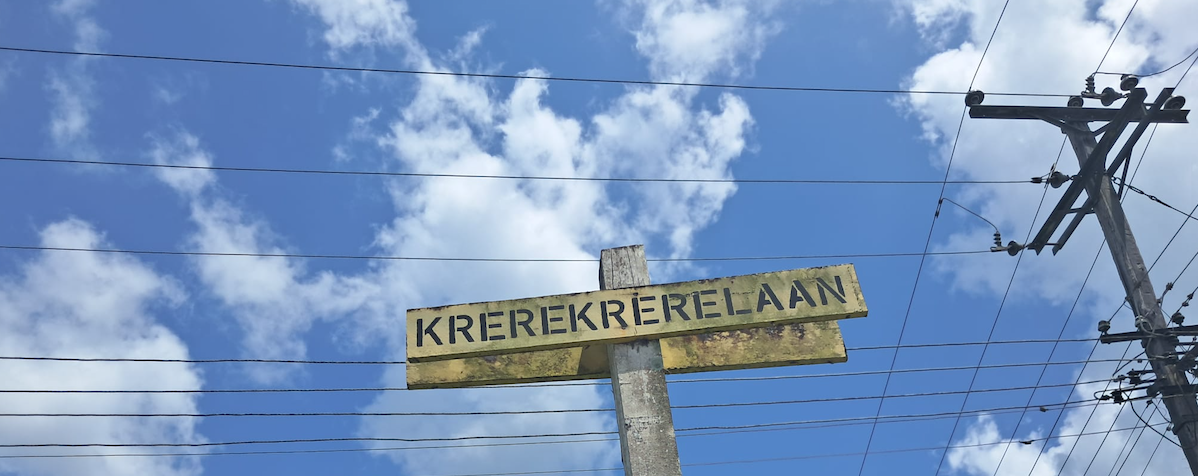 Schrijven en Vertellen